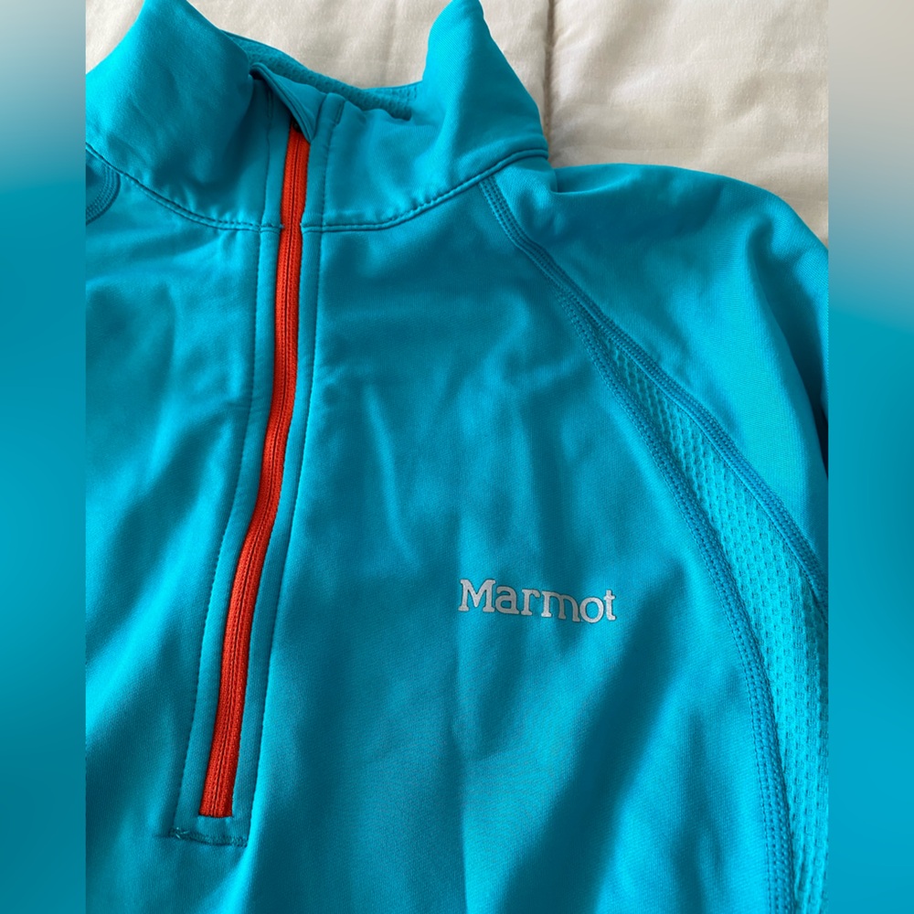 Marmot
